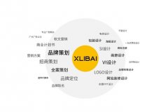 <b>张丹丹大鱼建站网抢占建站服务细分市场</b>